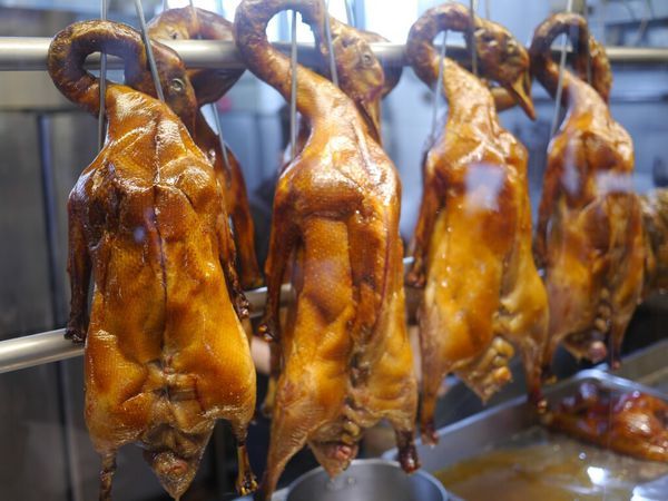 【西屯美食】頂園燒鵝担仔廚房‖熱門桌菜店家‖烤雞烤鵝都推薦‖假日沒預約很難吃的到。