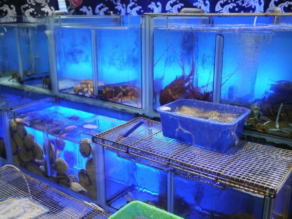 【西屯美食】頂園燒鵝担仔廚房‖熱門桌菜店家‖烤雞烤鵝都推薦‖假日沒預約很難吃的到。