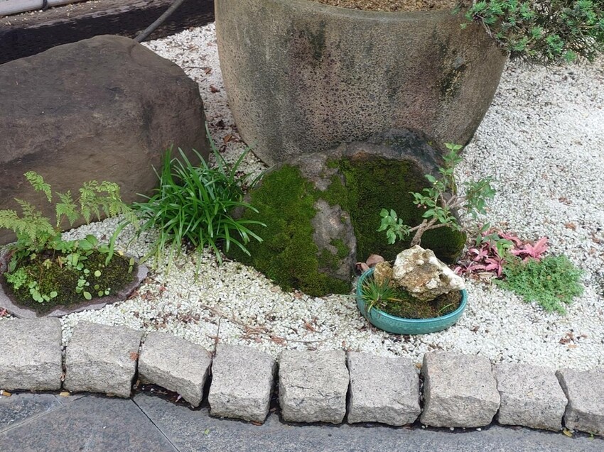 台北市中山區[分享]三花日本料理