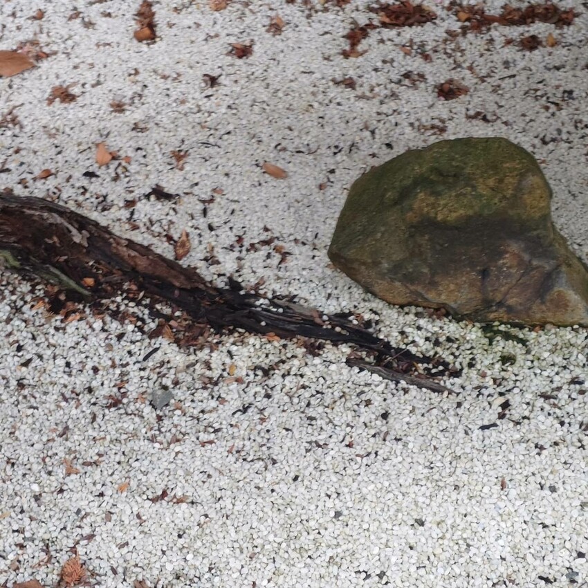 台北市中山區[分享]三花日本料理