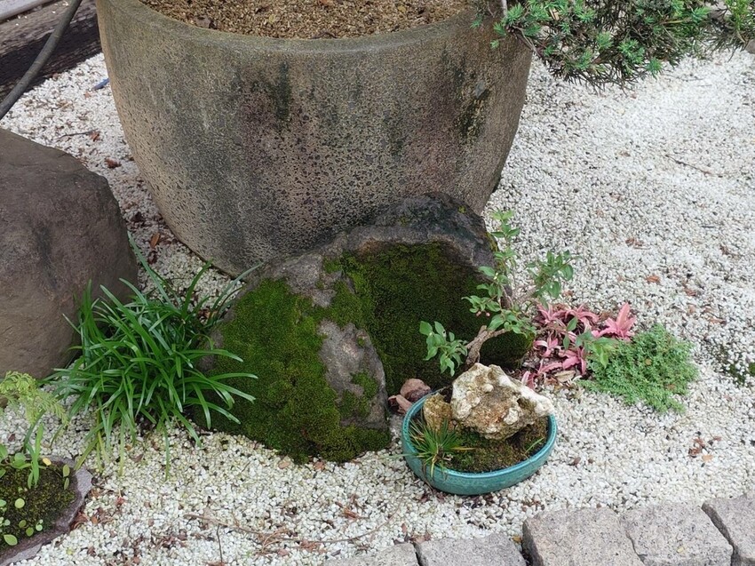 台北市中山區[分享]三花日本料理