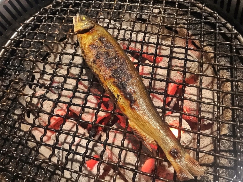 20181030 #2_181108_0039.jpg