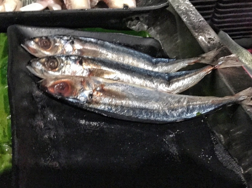 20181030 #2_181108_0030.jpg