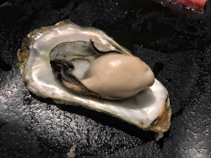 20181030 #2_181108_0035.jpg