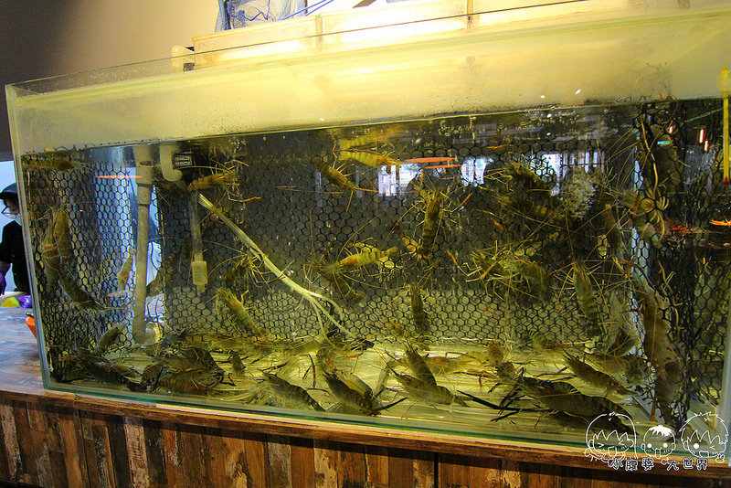 台中帝王蟹吃到飽1 018 台中帝王蟹吃到飽1 018