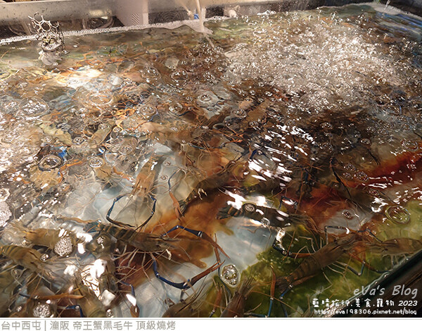 潼阪 帝王蟹黑毛牛 頂級燒烤-26.jpg 潼阪 帝王蟹黑毛牛 頂級燒烤-26.jpg