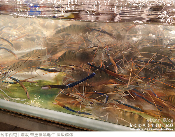 潼阪 帝王蟹黑毛牛 頂級燒烤-27.jpg 潼阪 帝王蟹黑毛牛 頂級燒烤-27.jpg