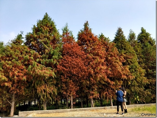 IMG20171227130853 IMG20171227130853