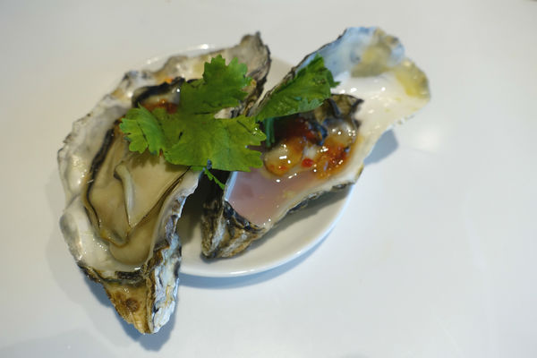 敘日74.jpg 敘日74.jpg