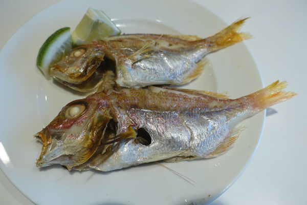 敘日73.jpg 敘日73.jpg