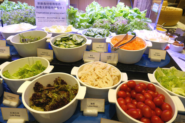 敘日14.jpg 敘日14.jpg