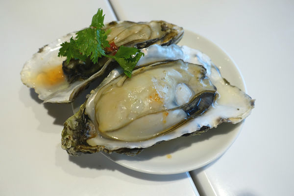 敘日75.jpg 敘日75.jpg