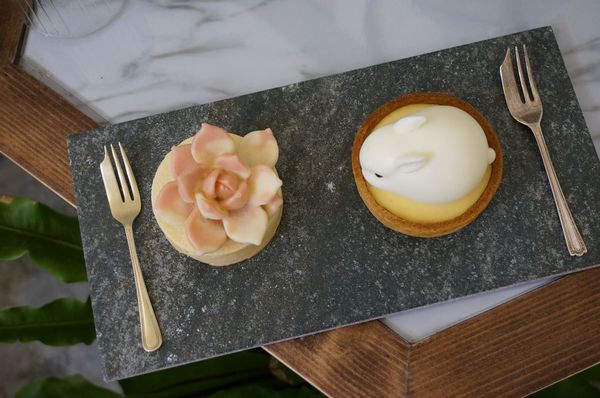 DSC02511.jpg DSC02511.jpg