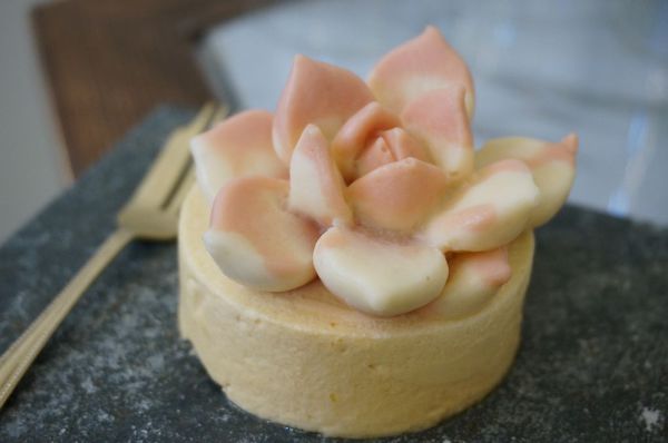 DSC02516.jpg DSC02516.jpg