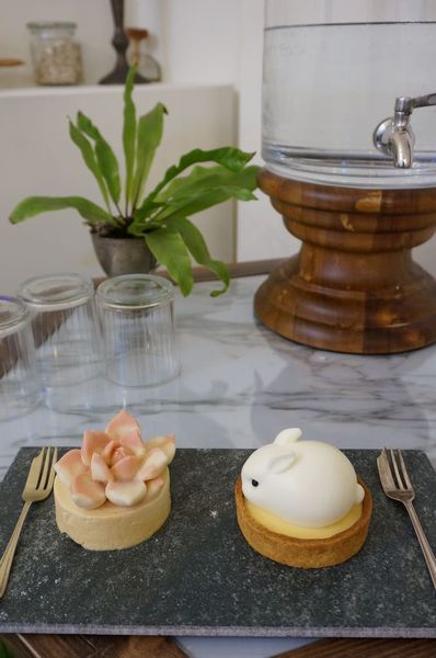 DSC02517.jpg DSC02517.jpg