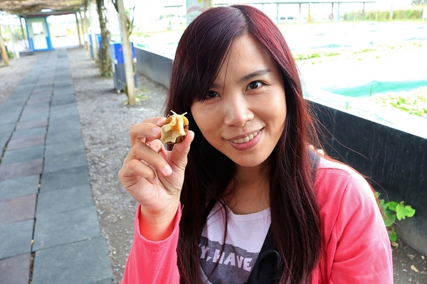 小品蝸牛生態農場: 【彰化溪湖景點】小品蝸牛生態農場~可愛逗趣的囍神蝸月老求紅線