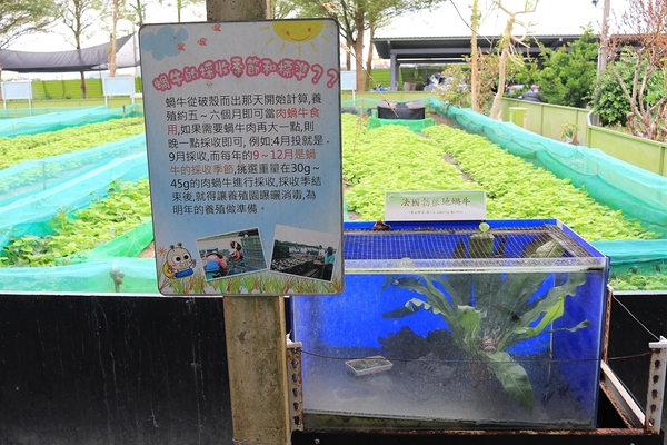 小品蝸牛生態農場: 【彰化溪湖景點】小品蝸牛生態農場~可愛逗趣的囍神蝸月老求紅線