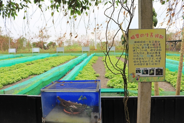 小品蝸牛生態農場: 【彰化溪湖景點】小品蝸牛生態農場~可愛逗趣的囍神蝸月老求紅線