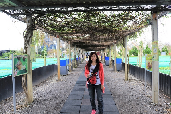 小品蝸牛生態農場: 【彰化溪湖景點】小品蝸牛生態農場~可愛逗趣的囍神蝸月老求紅線