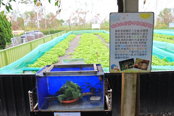 小品蝸牛生態農場: 【彰化溪湖景點】小品蝸牛生態農場~可愛逗趣的囍神蝸月老求紅線