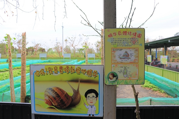小品蝸牛生態農場: 【彰化溪湖景點】小品蝸牛生態農場~可愛逗趣的囍神蝸月老求紅線