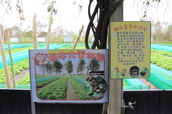 小品蝸牛生態農場: 【彰化溪湖景點】小品蝸牛生態農場~可愛逗趣的囍神蝸月老求紅線
