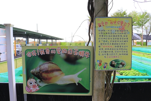 小品蝸牛生態農場: 【彰化溪湖景點】小品蝸牛生態農場~可愛逗趣的囍神蝸月老求紅線