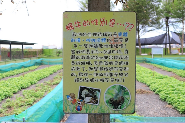 小品蝸牛生態農場: 【彰化溪湖景點】小品蝸牛生態農場~可愛逗趣的囍神蝸月老求紅線