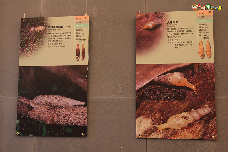 小品蝸牛觀光農場五 006
