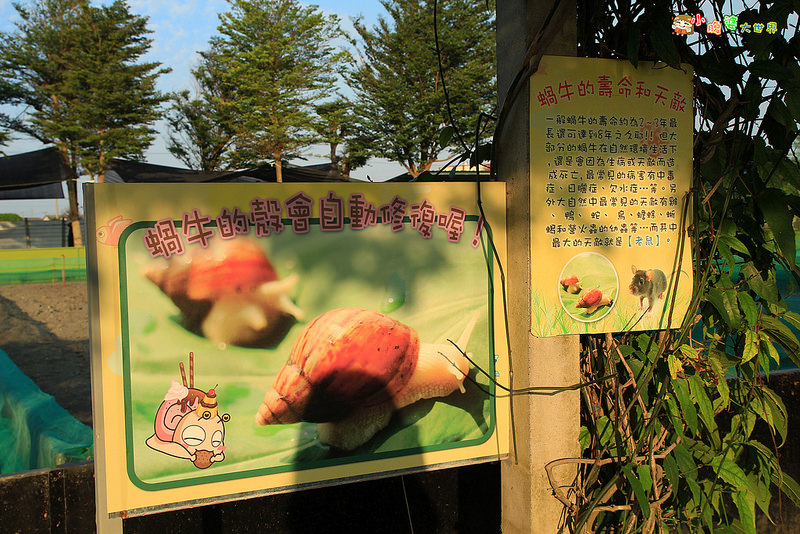 小品蝸牛觀光農場一019