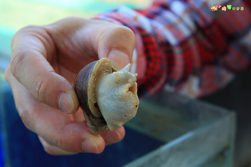 小品蝸牛觀光農場一009