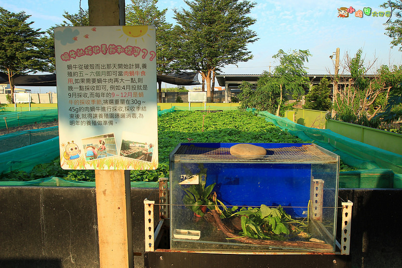 小品蝸牛觀光農場一021