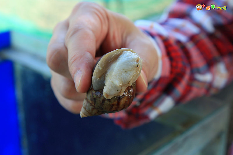 小品蝸牛觀光農場一008