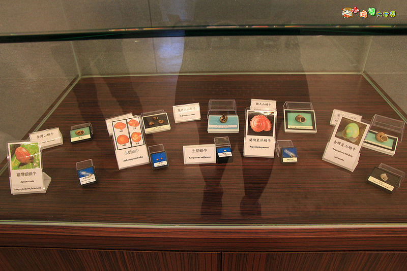 小品蝸牛觀光農場五 008