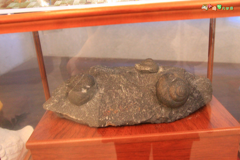 小品蝸牛觀光農場五 012