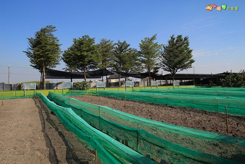 小品蝸牛觀光農場一006