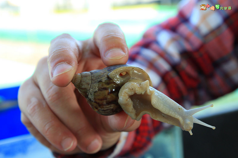 小品蝸牛觀光農場一013