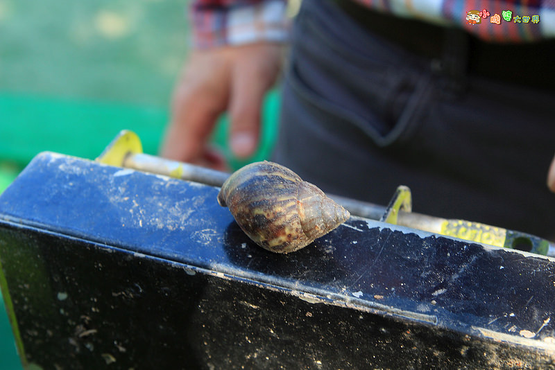 小品蝸牛觀光農場一007