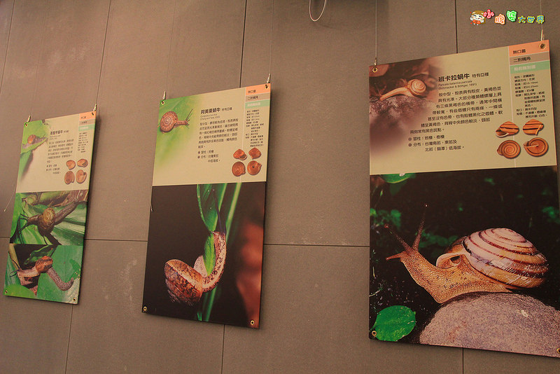 小品蝸牛觀光農場五 005