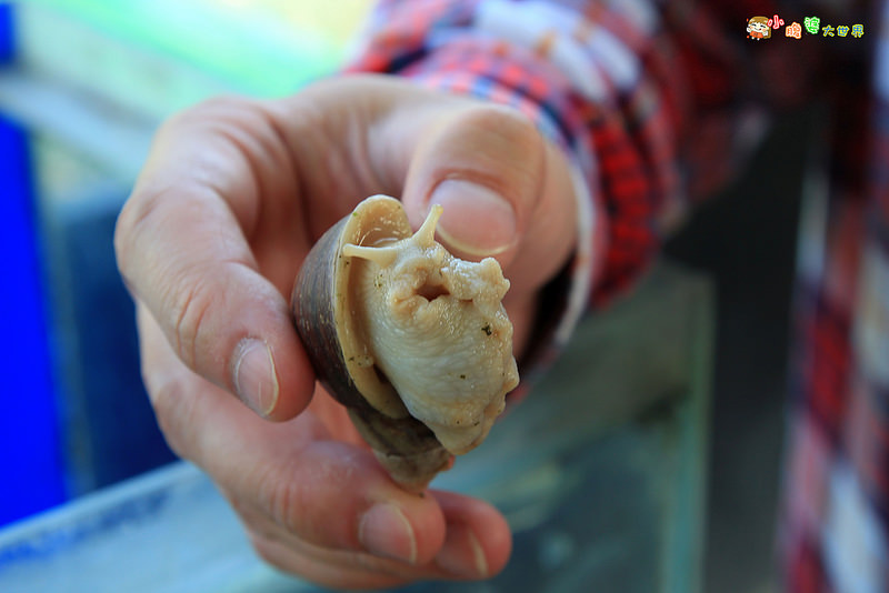 小品蝸牛觀光農場一010