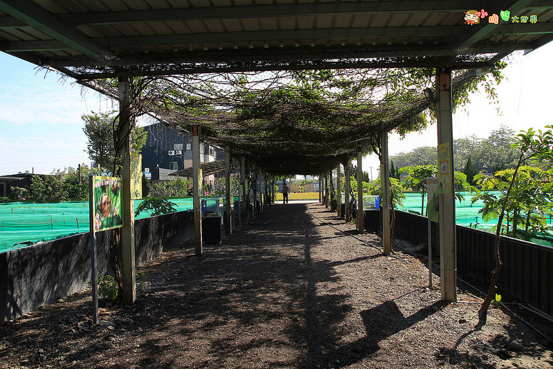 小品蝸牛觀光農場一004