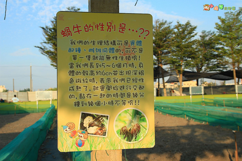 小品蝸牛觀光農場一016