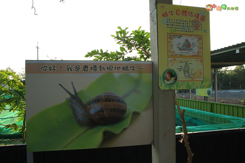 小品蝸牛觀光農場一014