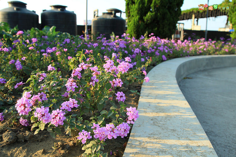 小品蝸牛觀光農場七 013