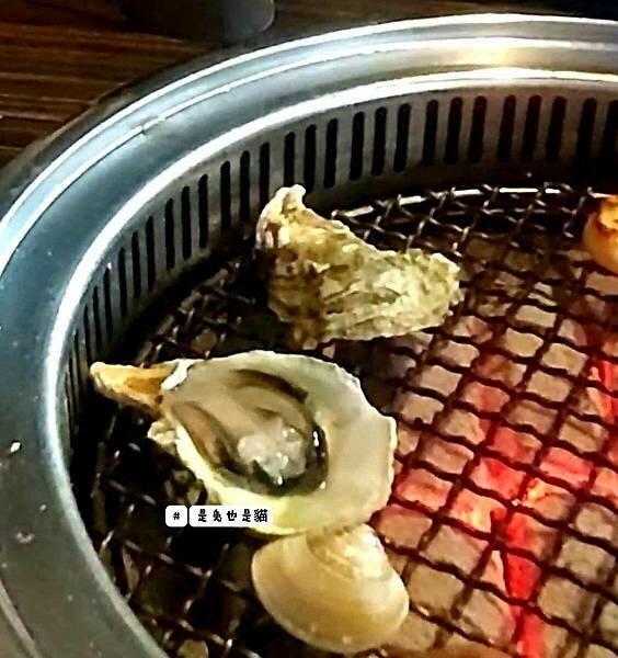 517257.jpg 517257.jpg