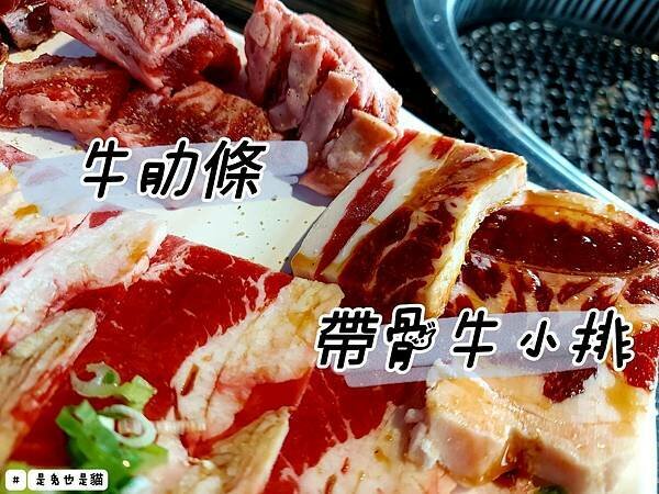 517201.jpg 517201.jpg