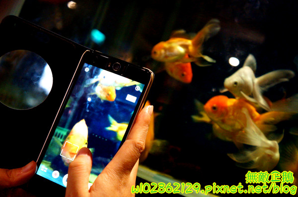 響道食堂：【台南-中西區】炸生蠔x芋泥炸蝦壽司...平價的雙主菜定食~《響道食堂》