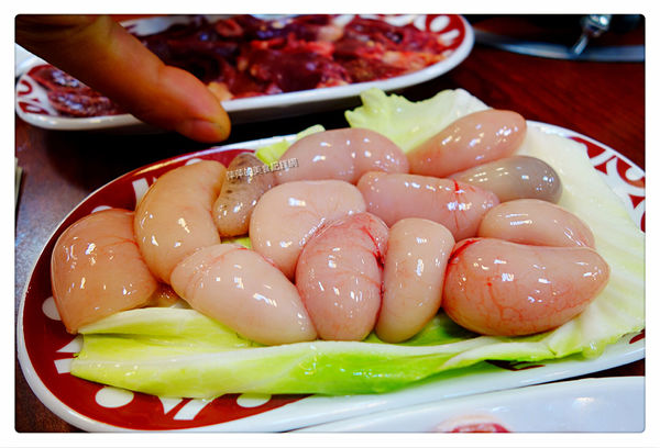 帝王食補 土城店 ~ 雙主鍋一次滿足你的味．聚在一起暖暖胃 - 捷運海山站