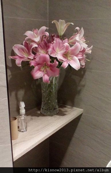 艾維農14-廁所百合.jpg