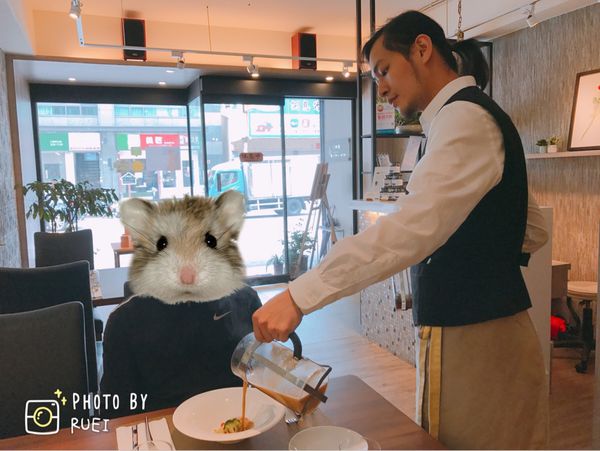 IMG_1390.JPG IMG_1390.JPG